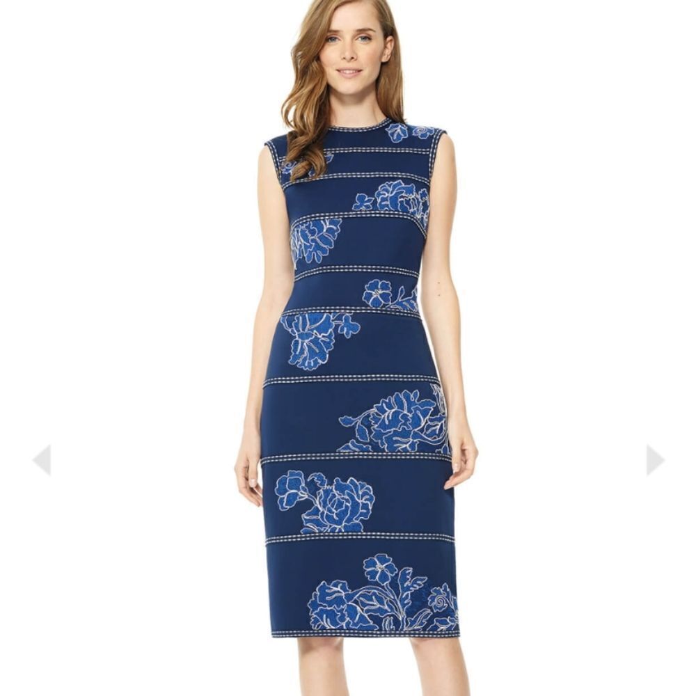 Tadashi Shoji Kitami blue floral embroidered dress
